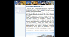Desktop Screenshot of mount-viewestate.co.za
